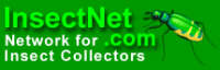 Network for insect collectors