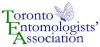 Toronto Entomologists Association