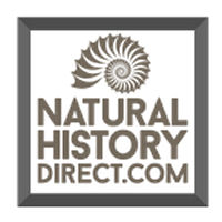 Natural History Collectables , Fossils & Minerals